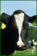 Agrarisch